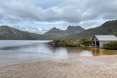 Cradle Mountain National Park Day Tour From Launceston - Whitsundays Accommodation 4
