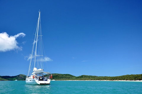 Sailing Curlew Escape On Moreton Bay - Whitsundays Accommodation 5