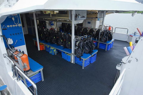 Silverswift Outer Great Barrier Reef Dive And Snorkel Cruise From Cairns - Whitsundays Accommodation 0