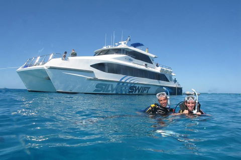 Silverswift Outer Great Barrier Reef Dive And Snorkel Cruise From Cairns - Whitsundays Accommodation 4