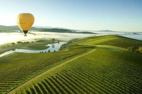 Half-Day Or Full-Day Tour With Private Guide From Melbourne - Whitsundays Accommodation 4