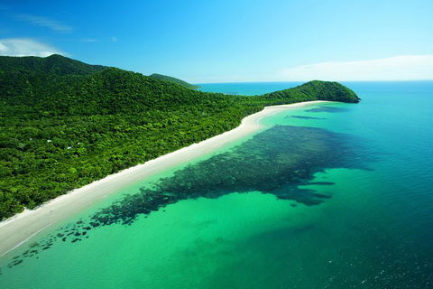 Cape Tribulation, Mossman Gorge, And Daintree Rainforest Day Trip From Cairns Or Port Douglas - Whitsundays Accommodation 2