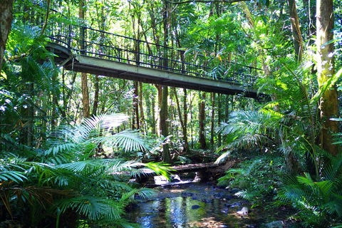 Cape Tribulation, Mossman Gorge, And Daintree Rainforest Day Trip From Cairns Or Port Douglas - Whitsundays Accommodation 3