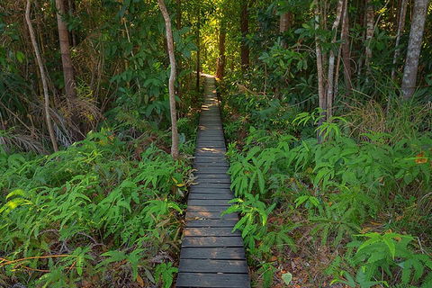 One Day Litchfield Park Adventures - Whitsundays Accommodation 4