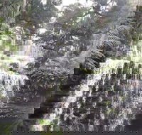 6-Day Hearty Tasmania Tour Tasmania in a Circle - Whitsundays Accommodation