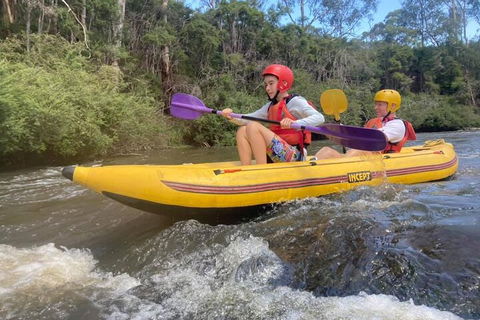 Yarra River Half-Day Rafting Experience - Whitsundays Accommodation 1