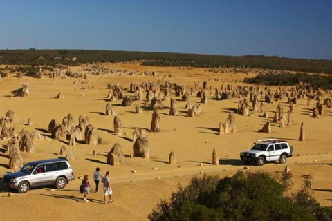 1-Day Pinnacles And Yanchep Tour From Perth Including Fish And Chips Lunch - Whitsundays Accommodation 0