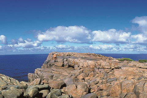 4 Day Tour: Albany, Margaret River, Valley Of The Giants TreeTop Walk From Perth - Whitsundays Accommodation 0