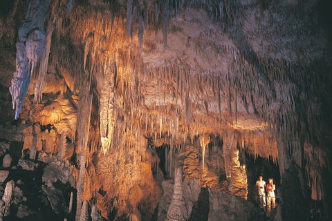 4 Day Tour: Albany, Margaret River, Valley Of The Giants TreeTop Walk From Perth - Whitsundays Accommodation 1