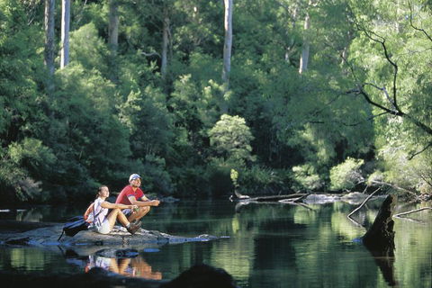 4 Day Tour: Albany, Margaret River, Valley Of The Giants TreeTop Walk From Perth - Whitsundays Accommodation 3