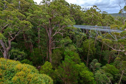 4 Day Tour: Albany, Margaret River, Valley Of The Giants TreeTop Walk From Perth - Whitsundays Accommodation 4
