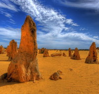Pinnacles Desert  New Norcia Day Tour from Perth - Whitsundays Accommodation