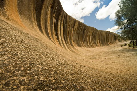 2-Day Wave Rock, York, Wildflowers & Aboriginal Experience - Whitsundays Accommodation 1