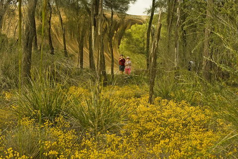 2-Day Wave Rock, York, Wildflowers & Aboriginal Experience - Whitsundays Accommodation 2