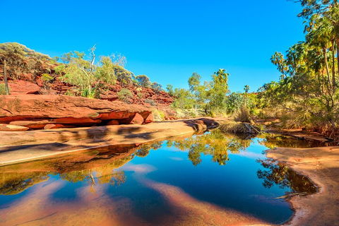 7-Day Guided Tour Of Alice Springs With Accommodation Included - Whitsundays Accommodation 1