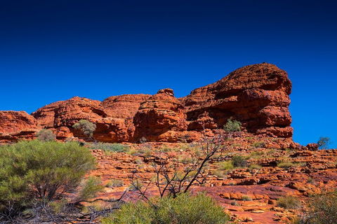 7-Day Guided Tour Of Alice Springs With Accommodation Included - Whitsundays Accommodation 4