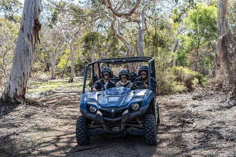 Small-Group Buggy Tour At Little Sahara With Guide - Whitsundays Accommodation 0