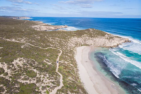 Small-Group Buggy Tour At Little Sahara With Guide - Whitsundays Accommodation 4