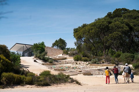 2-Hour Koala Walking Tour In Kangaroo Island - Whitsundays Accommodation 3