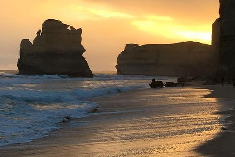 Great Ocean Road Small-Group Ecotour From Melbourne - Whitsundays Accommodation 5