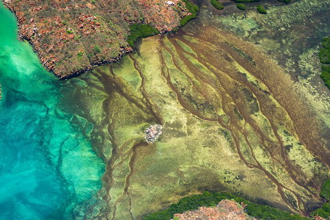 Fly The Falls Tour - Whitsundays Accommodation 0