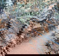 West MacDonnell Ranges Half - Day Tour - Whitsundays Accommodation