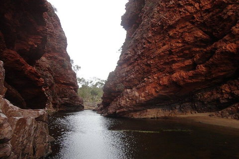 West MacDonnell Ranges Half - Day Tour - Whitsundays Accommodation 4