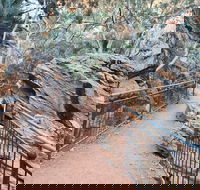 West MacDonnell Ranges Half-Day Private Charter Guided Tour - Whitsundays Accommodation