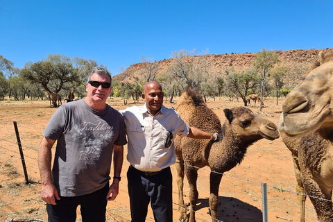 West MacDonnell Ranges Half-Day Small-Group Tour With Camel Ride - Whitsundays Accommodation 1