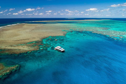Calypso Outer Great Barrier Reef Cruise From Port Douglas - Whitsundays Accommodation 1