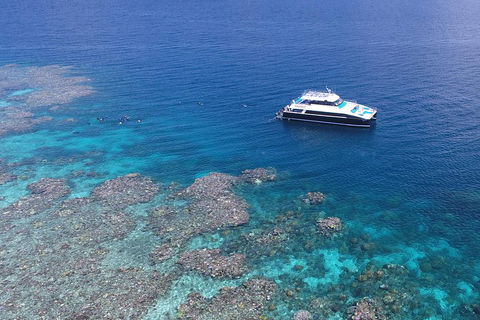 Calypso Outer Great Barrier Reef Cruise From Port Douglas - Whitsundays Accommodation 4