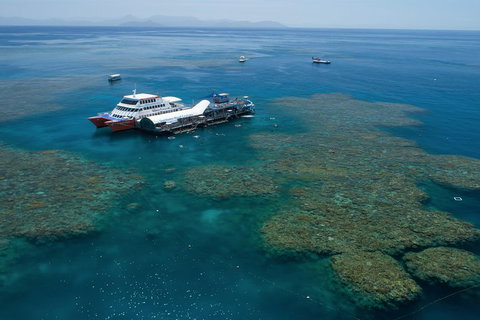 Cruise To Moore Reef Pontoon And Return Helicopter Flight From Cairns - Whitsundays Accommodation 0