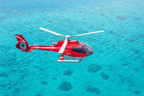 Cruise To Moore Reef Pontoon And Return Helicopter Flight From Cairns - Whitsundays Accommodation 1