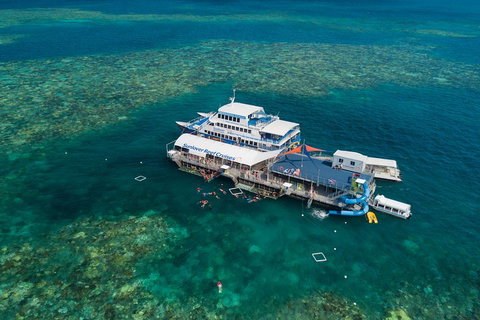 Cruise To Moore Reef Pontoon And Return Helicopter Flight From Cairns - Whitsundays Accommodation 2