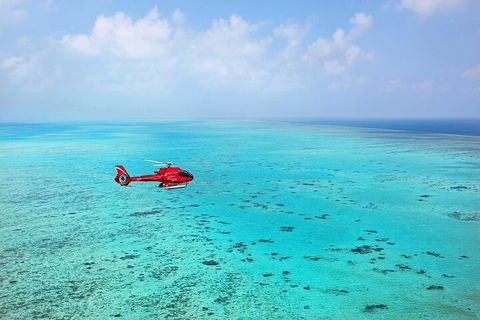 Ultimate Great Barrier Reef And Rainforest 45-minute Helicopter Tour - Whitsundays Accommodation 2