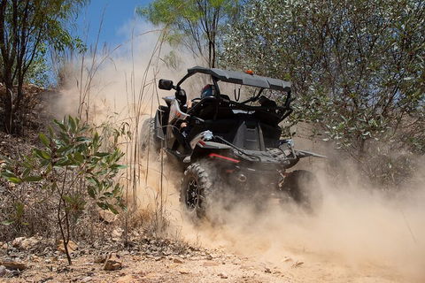 License To Thrill: 1.5 Hour Off-road Tour In Darwin (1 Person: 2 Seater Vehicle) - Whitsundays Accommodation 3