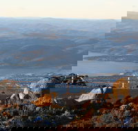 Mt. Wellington Bonorong and Richmond Day Tour from Hobart - Whitsundays Accommodation