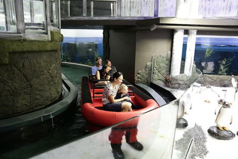 Sydney Attractions Pass: SEA LIFE Aquarium, Sydney Tower Eye, WILD LIFE Zoo And Madame Tussauds - Whitsundays Accommodation 0