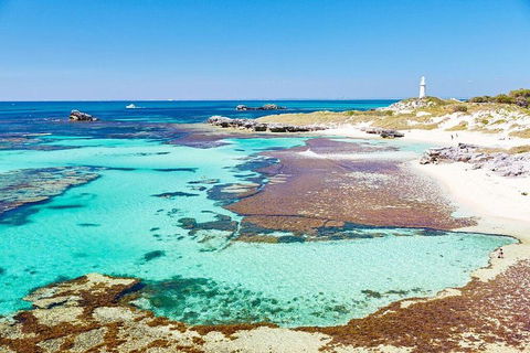 Fremantle To Rottnest Island Roundtrip Ferry Ticket - Whitsundays Accommodation 2