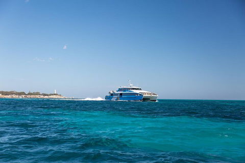 Fremantle To Rottnest Island Roundtrip Ferry Ticket - Whitsundays Accommodation 5