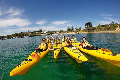 Mornington Peninsula Kayak Coastline Tour Of Dolphin Sanctuary - Whitsundays Accommodation 2