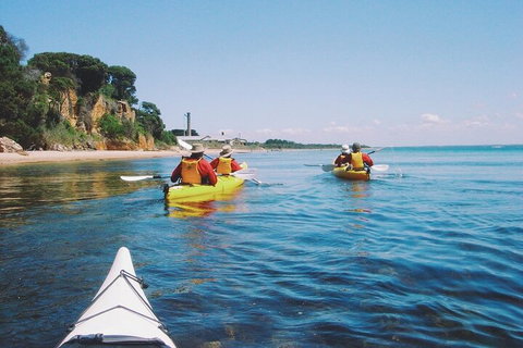 Mornington Peninsula Kayak Coastline Tour Of Dolphin Sanctuary - Whitsundays Accommodation 5