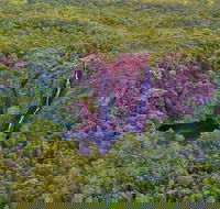 Litchfield Park  Daly River - Scenic Flight From Darwin - Whitsundays Accommodation