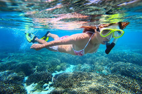 Abrolhos Islands Scenic Flight & Snorkel Adventure From Perth - Whitsundays Accommodation 1