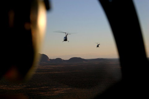 Helicopter Scenic: Lizard Safari - Whitsundays Accommodation 1