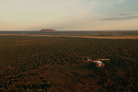 Helicopter Scenic: Lizard Safari - Whitsundays Accommodation 4
