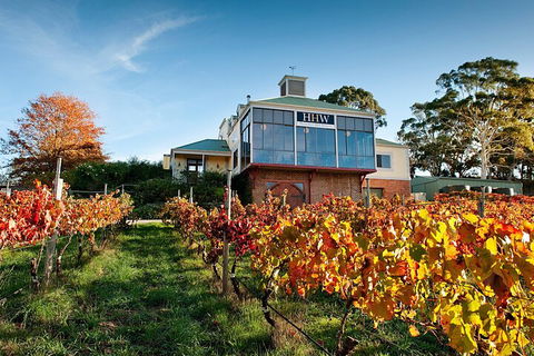 Adelaide Hills Food, Wine, Cheese, & Chocolate - Private Day Tour - Whitsundays Accommodation 3