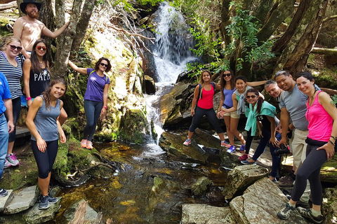 7-Day Super Value Tour Of Tasmania: Explore Tasmania's West And East Coasts - Whitsundays Accommodation 2