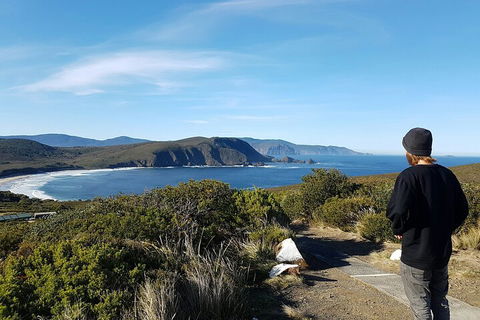 4-Day Fabulous Tasmania Tour: Wineglass Bay, Port Arthur, Devils & Bruny Island - Whitsundays Accommodation 0