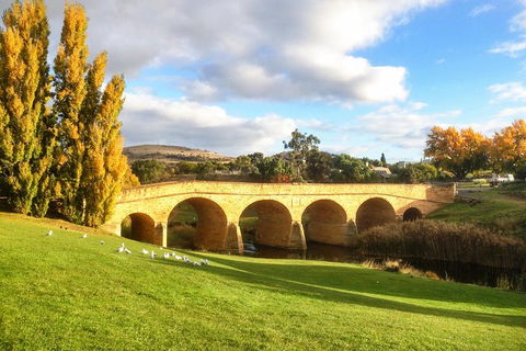 4-Day Fabulous Tasmania Tour: Wineglass Bay, Port Arthur, Devils & Bruny Island - Whitsundays Accommodation 1